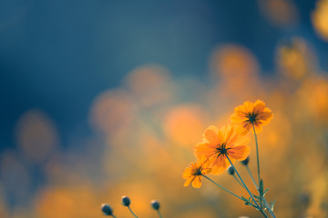 英语启蒙必备儿歌