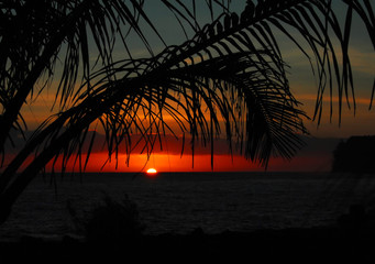 三年级共读书目推荐必读