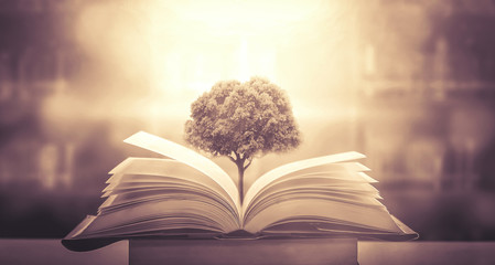 女性的性暗示都有什么？