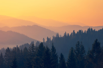 幼儿园课程设计包括哪些要素