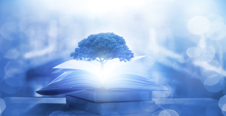 南方医科大学生物医学工程学院的学院概况