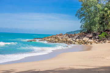 三年级共读书目推荐必读