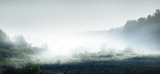 幼儿园课程设计包括哪些要素