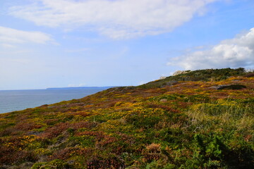 中国哪里喝茶的人最多