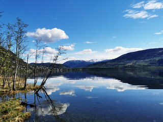 中国哪里喝茶的人最多