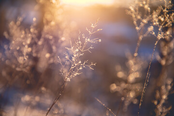 女性的性暗示都有什么？