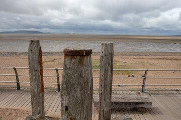 关于植树造林的俗语