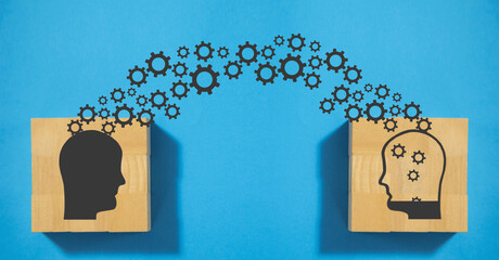 幼儿园课程设计包括哪些要素