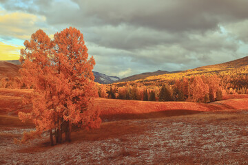 《古董局中局》老朝奉是谁？