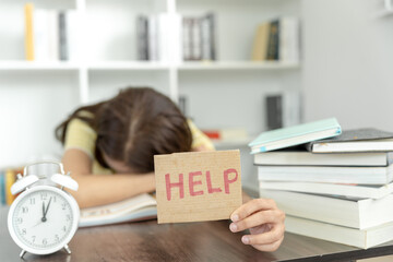 幼儿园课程设计包括哪些要素