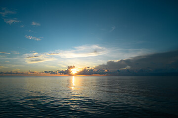 关于植树造林的俗语