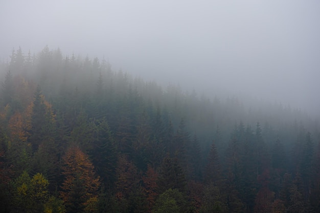 中国哪里喝茶的人最多