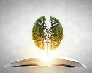 无刷电机和有刷电机的区别是什么？