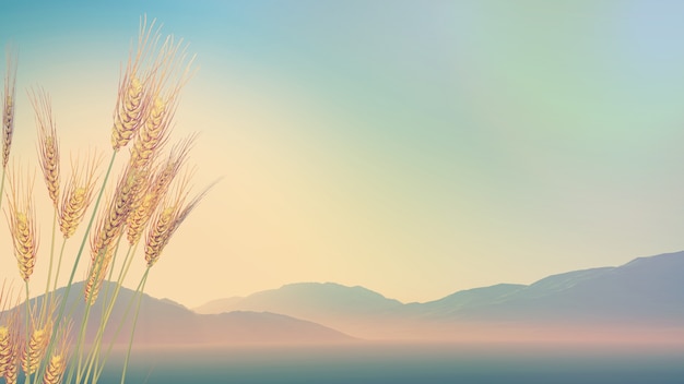 中国哪里喝茶的人最多