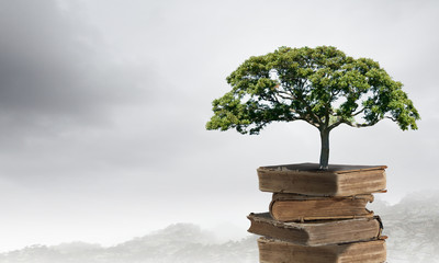 无刷电机和有刷电机的区别是什么？