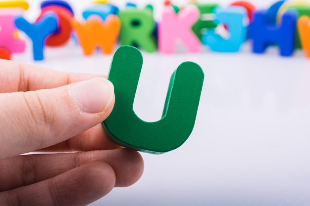 幼儿园课程设计包括哪些要素