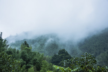 女性的性暗示都有什么？